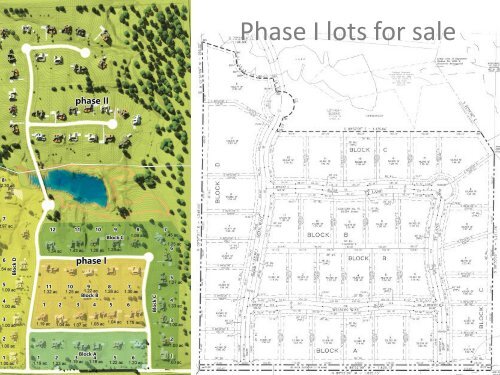 Lavon Estates  Lots for sale Aerial of Princeton Development