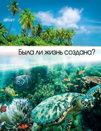 Была ли жизнь создана