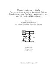 Phasenkohärente optische Frequenzmessungen am Wasserstoffatom.