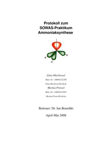 Protokoll zum SOWAS-Praktikum Ammoniaksynthese