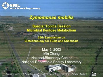 Pentose-Fermenting Zymomonas mobilis - EERE - U.S. Department ...