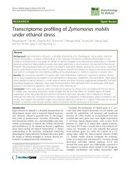 Zymomonas mobilis - Biotechnology for Biofuels