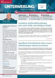 Unterweisung professionell_Nr. 6_17_Update