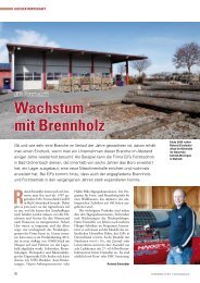 Wachstum mit Brennholz - Forsttechnik