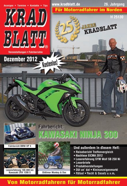 KAWASAKI NINJA 300 - Kradblatt