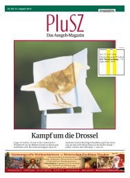 Kampf um die Drossel - Sächsische Zeitung