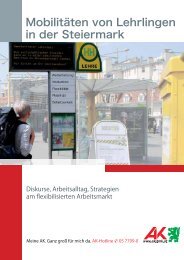 Mobilitäten von Lehrlingen in der Steiermark - AK Portal Mobile ...