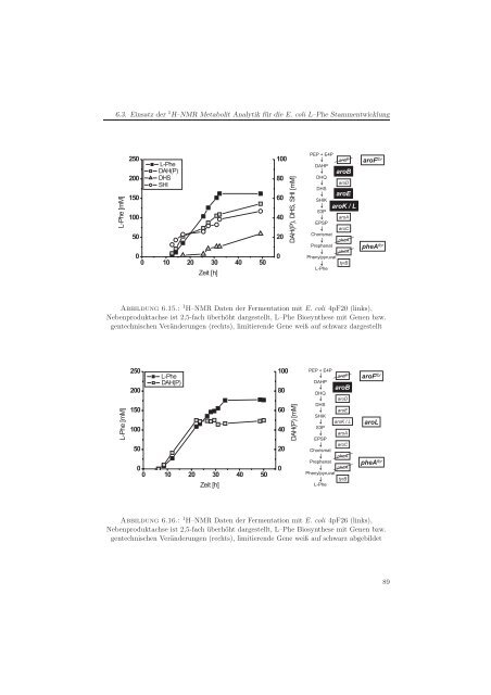 Metabolomanalyse zur Untersuchung der Dynamik im ...