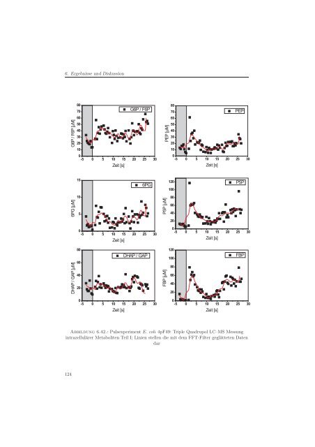 Metabolomanalyse zur Untersuchung der Dynamik im ...