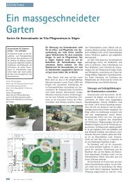 Ein massgeschneideter Garten - Fuhrer AG Gartenbau