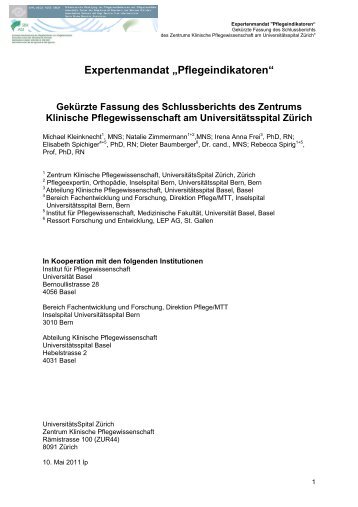 Expertenmandat „Pflegeindikatoren“ - Schweizer Berufsverband der ...