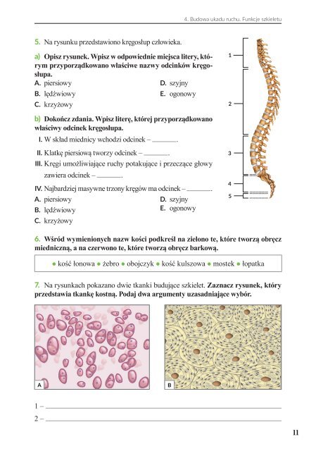 Kartkowka Z Biologii Klasa 7 DZIAŁ 1. HIERARCHICZNA B