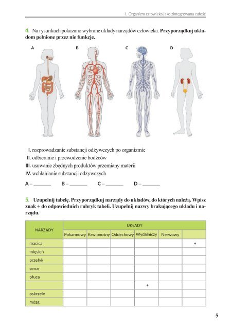Cwiczenia Do Biologi Klasa 7 DZIAŁ 1. HIERARCHICZNA B