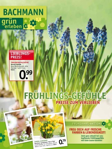 PreiS! - Gartencenter Bachmann