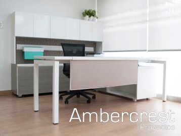 Presentación Ambercrest Proyectos