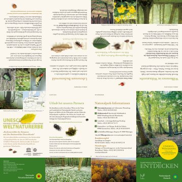 Faltblatt Entdecken.pdf (1,82 MB ) - Nationalpark Hainich