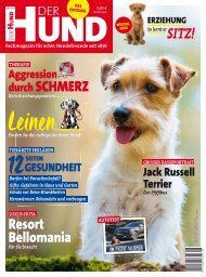 DerHund_0517