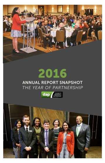 DAP 2016 Annual Report Snapshot