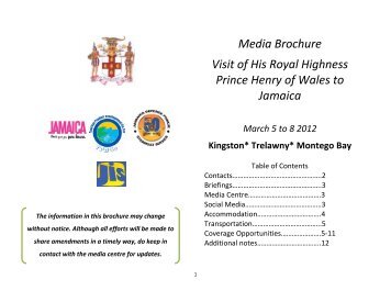 Media Plan - Jamaica Information Service