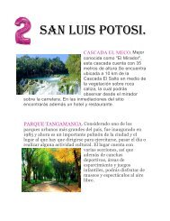 7 SAN LUIS POTOSI