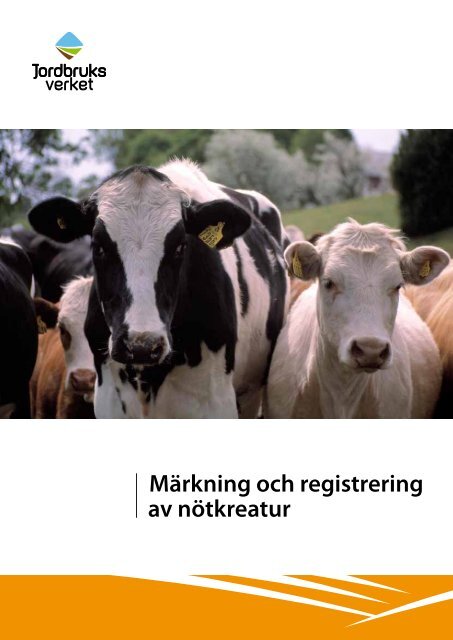 Märkning och registrering av nötkreatur - Jordbruksverket