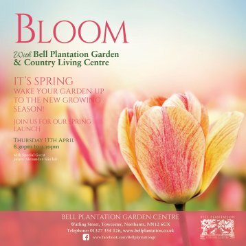 Bloom Spring 2017 Single