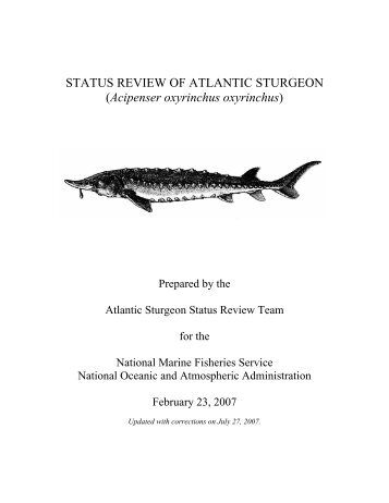 2007 Status Review of Atlantic sturgeon - National Marine Fisheries ...