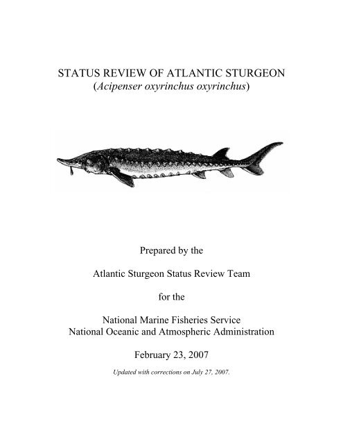2007 Status Review of Atlantic sturgeon - National Marine Fisheries ...