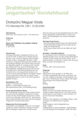 Drahthaariger ungarischer Vorstehhund - Magyar Vizsla Club der ...