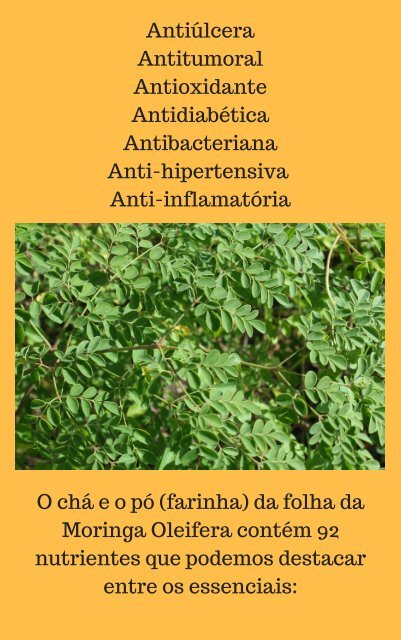 Moringa OleiferaEBOOK2