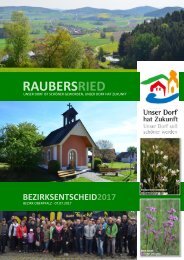 2017-Raubersried