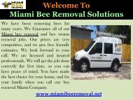 Bee Removal Miami