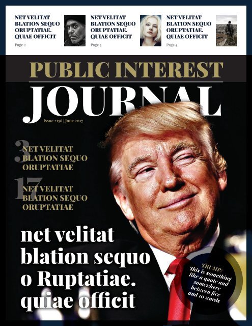 Public Interest Journal Template