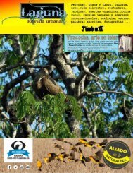 Laguna, Revista urbana – 2° trimestre de 2017