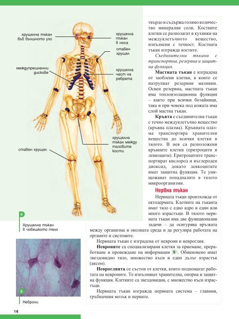 Биология и здравно образование за 8. клас