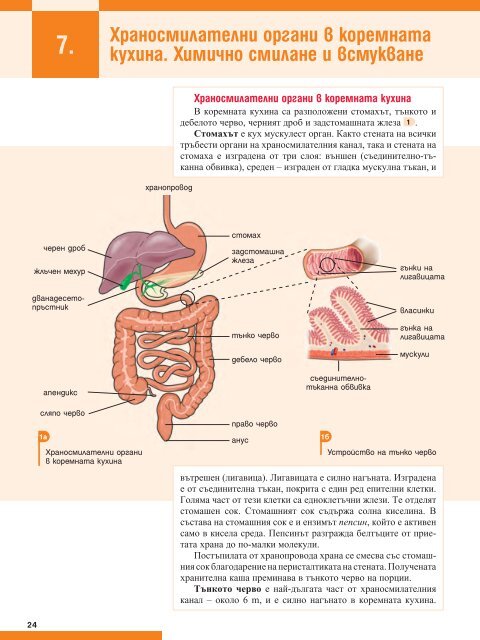 Биология и здравно образование за 8. клас