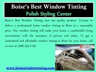 Affordable window tinting service in Boise(1)