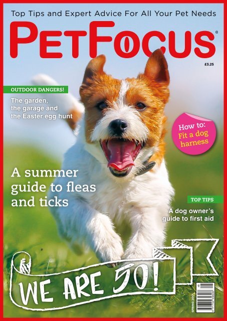 PetFocus issue 50