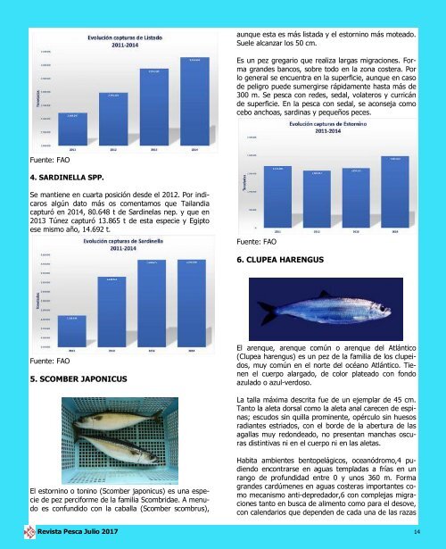 REVISTA PESCA JULIO 2017