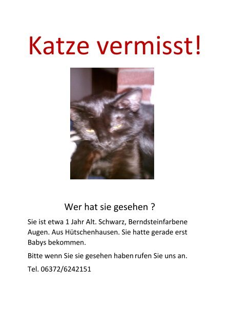 Katze vermisst