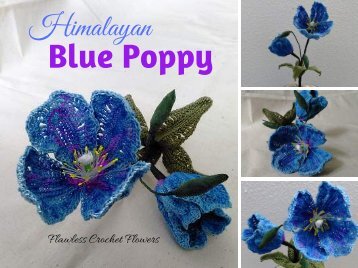 Himalayan Blue Poppy.PDF