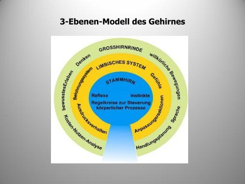 Trauma - Sucht - bei der Soziale Hilfe Marburg eV