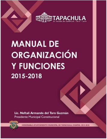 Manual de Organización y Funciones 2015-2018