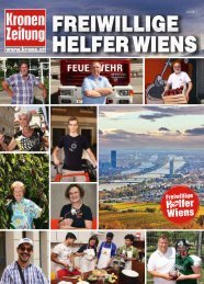 Freiwillige Helfer Wiens 2017-06-28