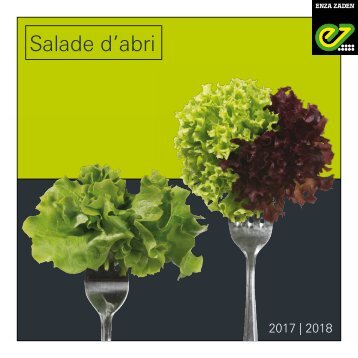 Salade_abri_2017-2018