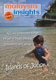 Malaysia Insights #8/2017