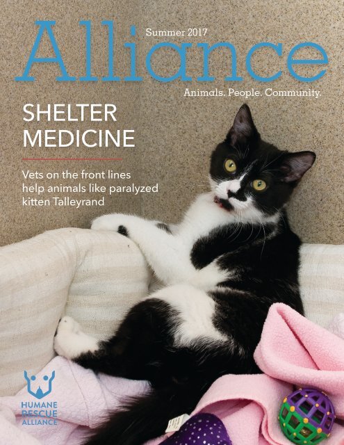 Alliance Magazine Summer 2017