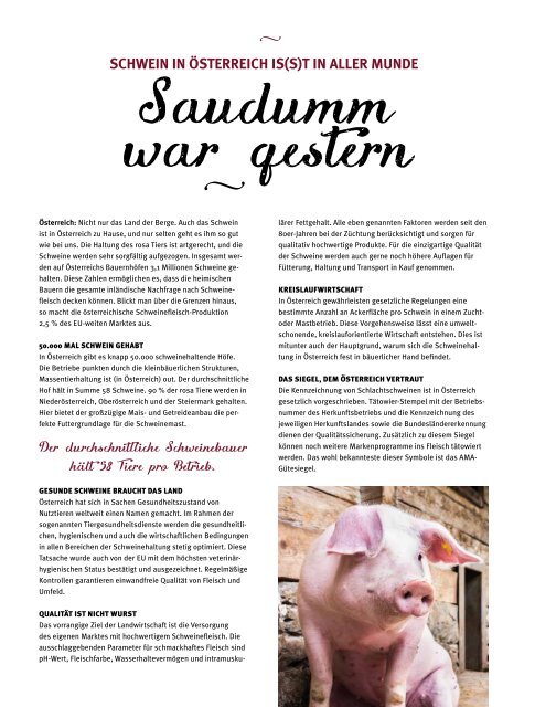 Magalog Schwein