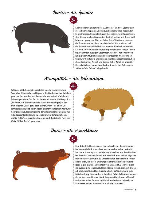 Magalog Schwein