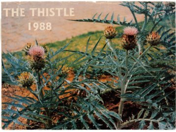The Thistle 1988